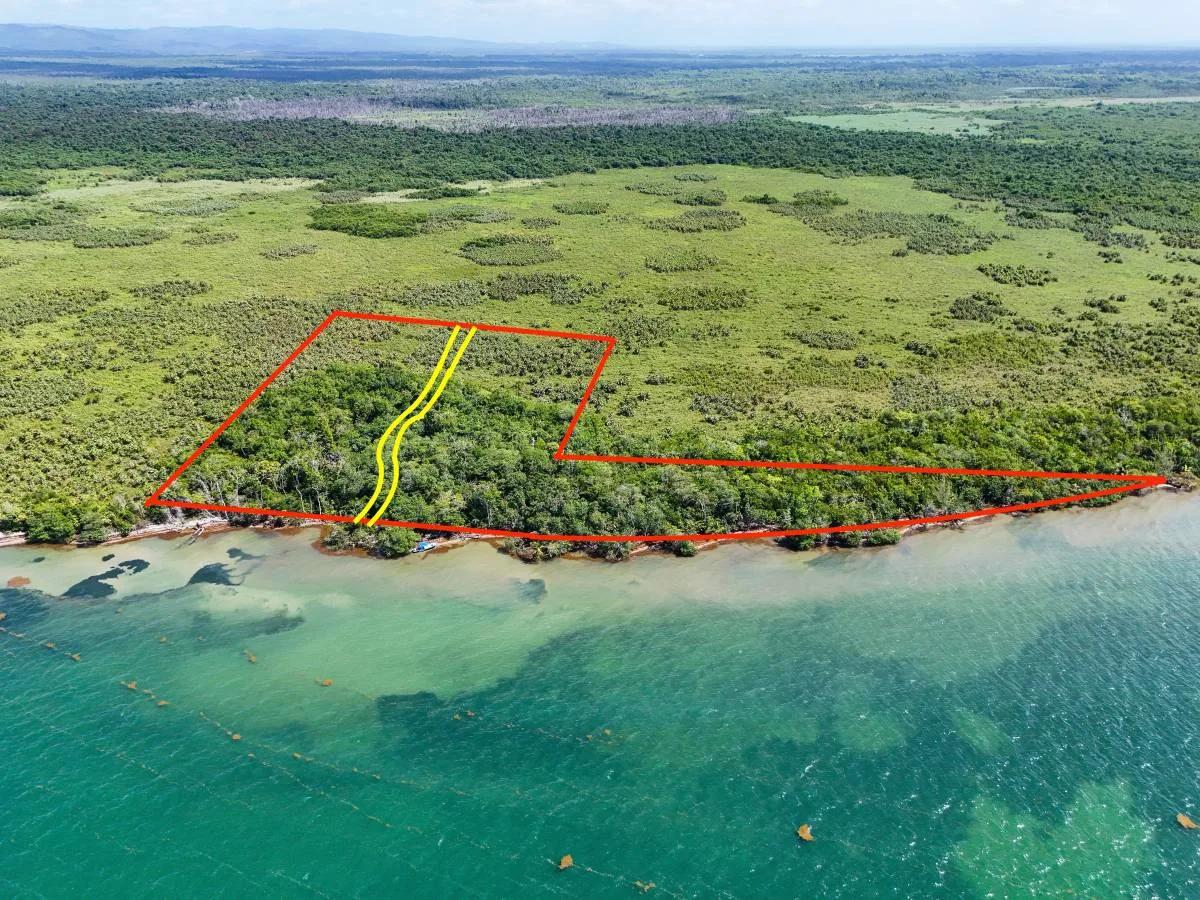 5.11 Acres of Beachfront Paradise in Commerce Bight - Photo 3