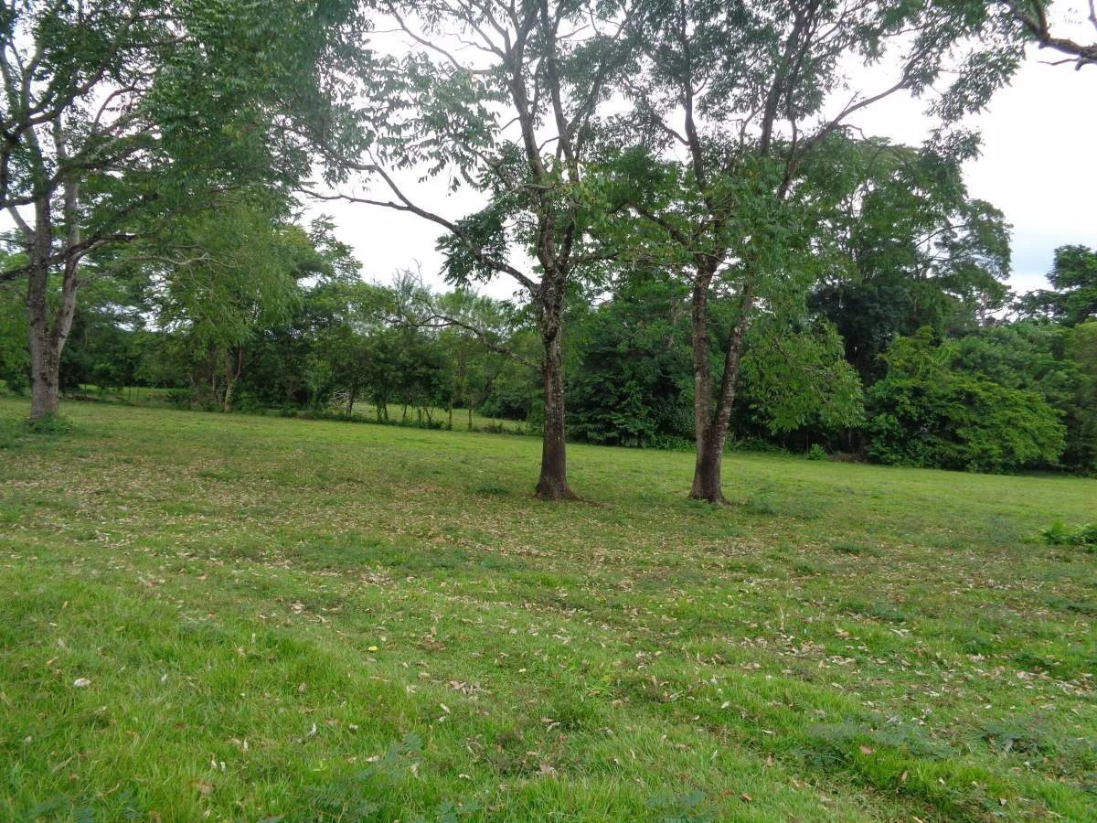 39+ magnificent acres of relatively high, fertile land in a tranquil and pristine setting. - Photo 6