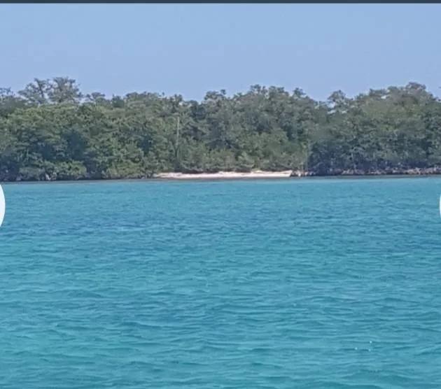 5 acre Island Paradise - Photo 4