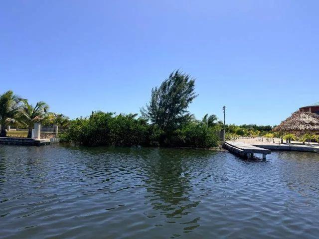 Half-acre Canal Front Lot - South Island - Photo 8