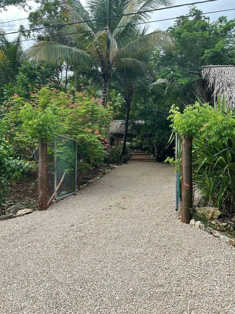 REDUCED! REDUCED! 12.853 Acres of Tropical Retreat Surrounded by Nature - Photo 5