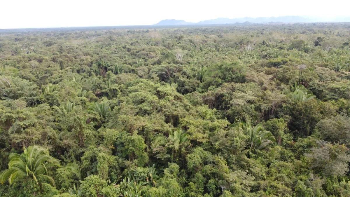 Superb investment opportunity, 40 acres newly listed! - Photo 5