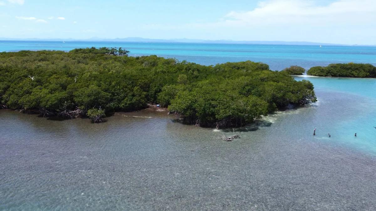 Secluded Private Island – Sand Fly Caye - Photo 5