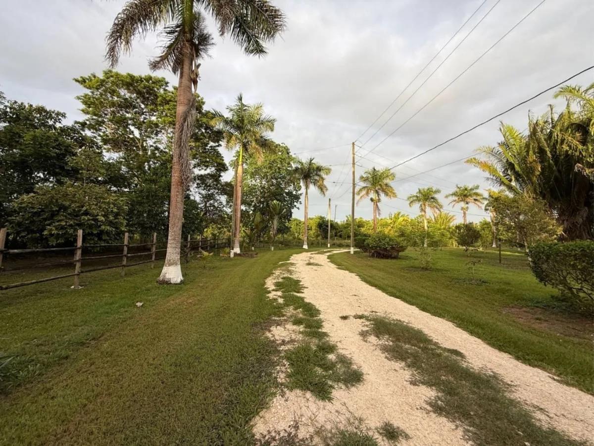 Investor’s Dream – 46+ Acres with Highway & River Frontage in Cristo Rey, Cayo District - Photo 2
