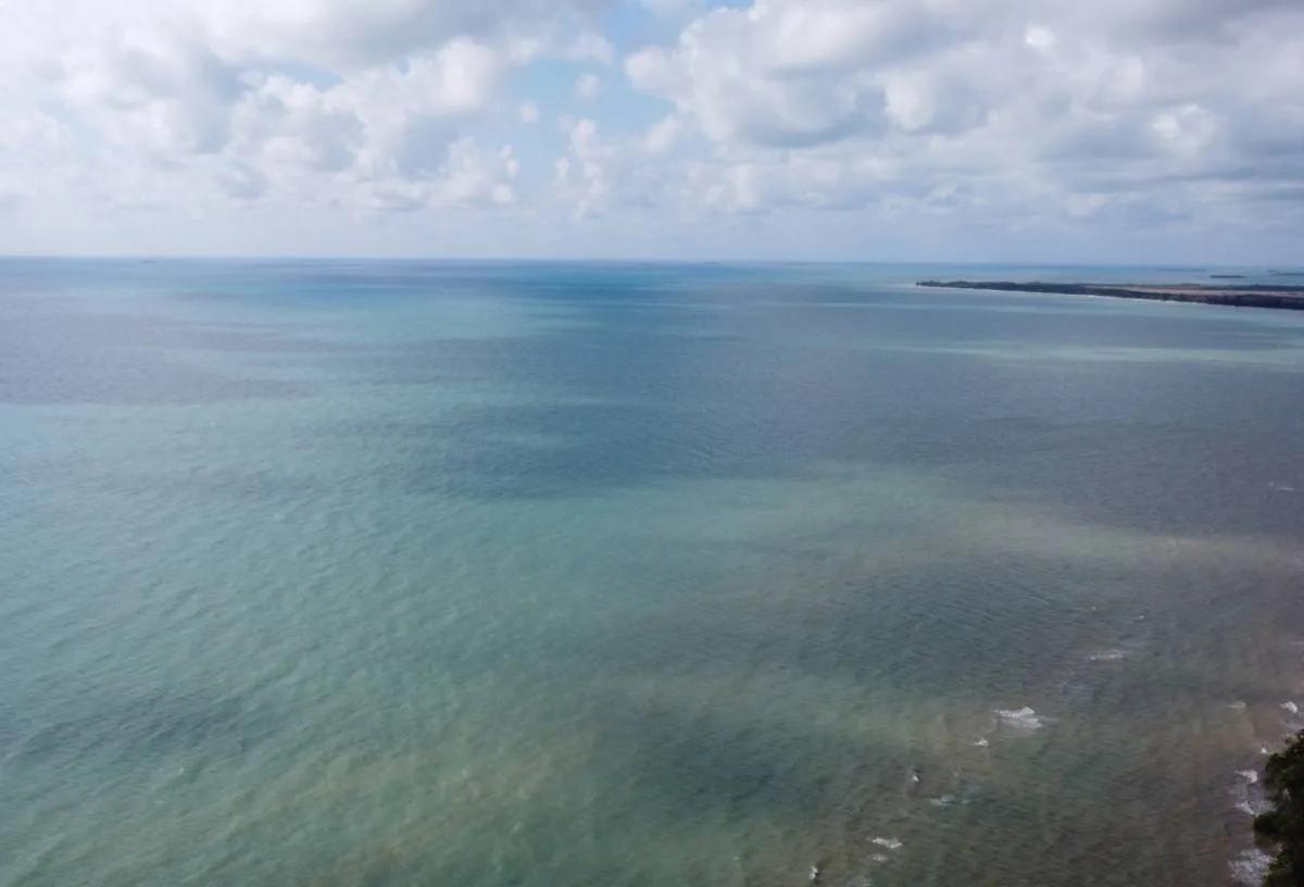 Spectacular 10.314 acres along the seacoast 2 miles north of Punta Negra (Toledo) - Photo 8