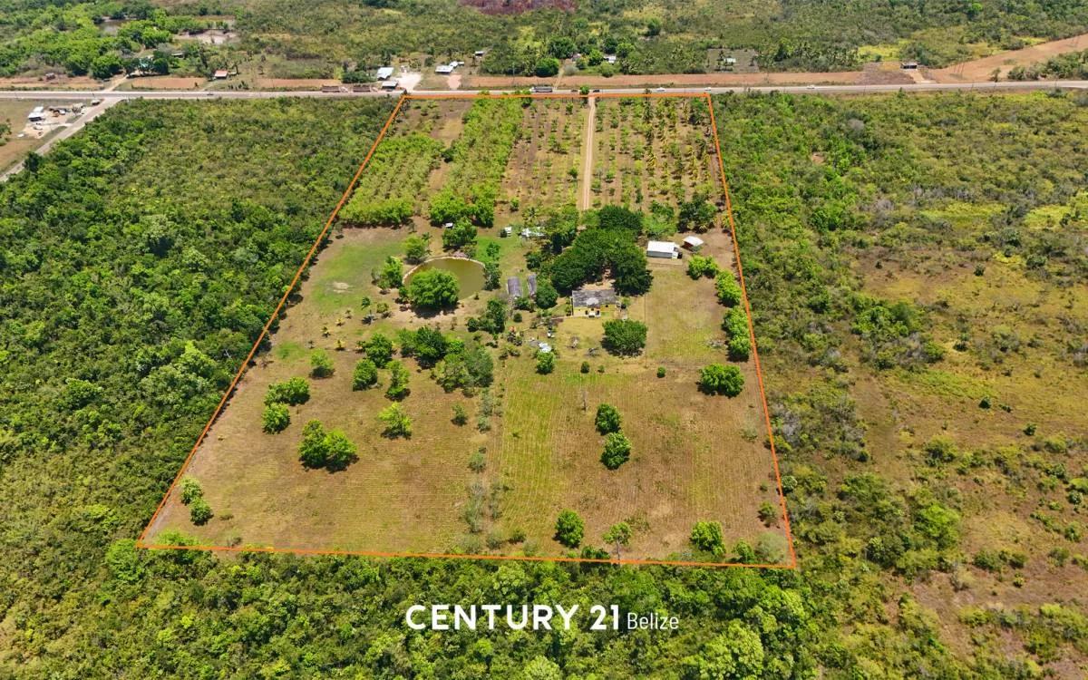 Prime 20-Acre Land with Two Homes and Commercial Potential - Photo 4