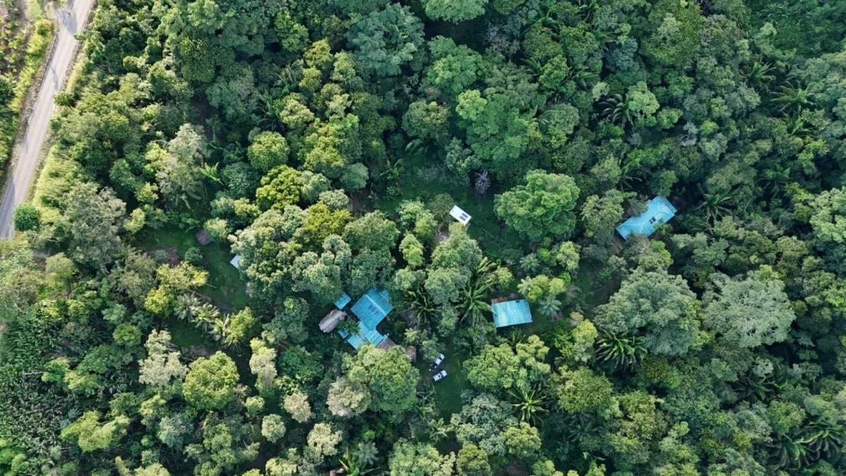 Fantastic 51.42-Acre Farm for Sale – The Farm Inn, Toledo, Belize - Photo 2