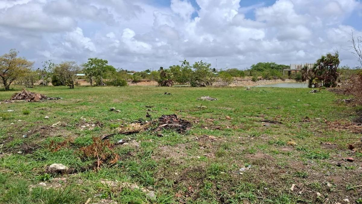 Residential lots in the growing, private community of Los Lagos just 15 minutes from Belize City! - Photo 4