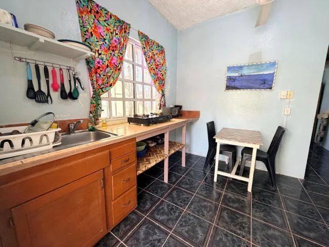 Your Next Income-Producing Property- Caye Caulker, South Island - Photo 3