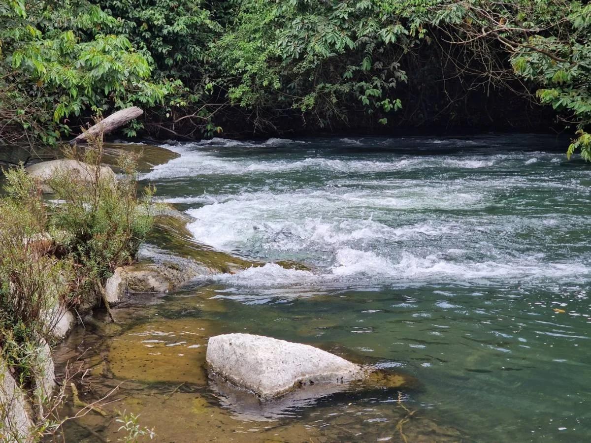 39.3 acres of beautiful Riverfront Property in Big Falls