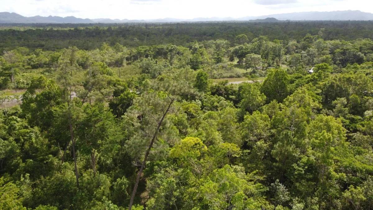 Create your amazing dream estate, an exceptional opportunity to purchase 20.05 acres! - Photo 3