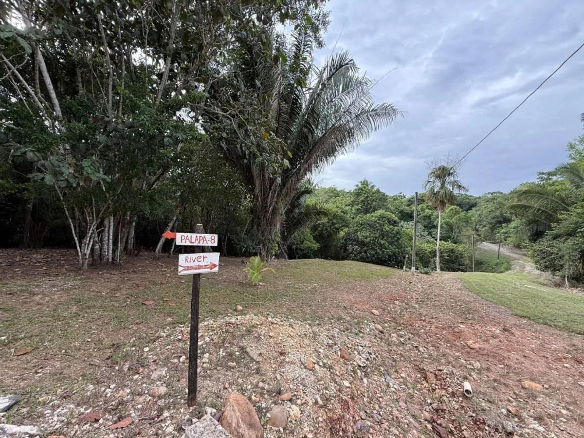 Investor’s Dream – 46+ Acres with Highway & River Frontage in Cristo Rey, Cayo District - Photo 4