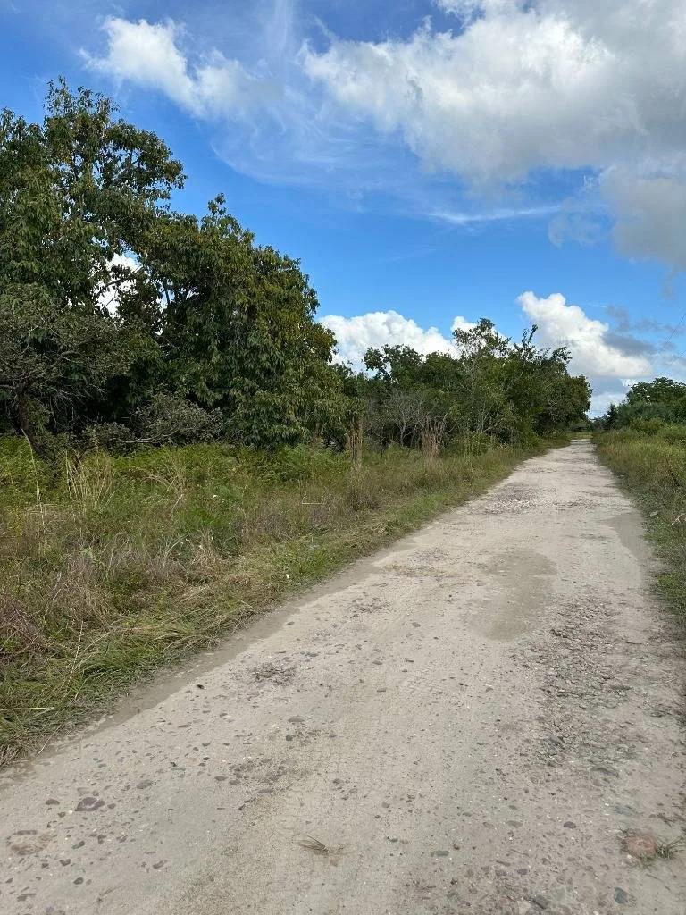 Affordable lots Burrel Boom in Castleton Area . - Photo 6