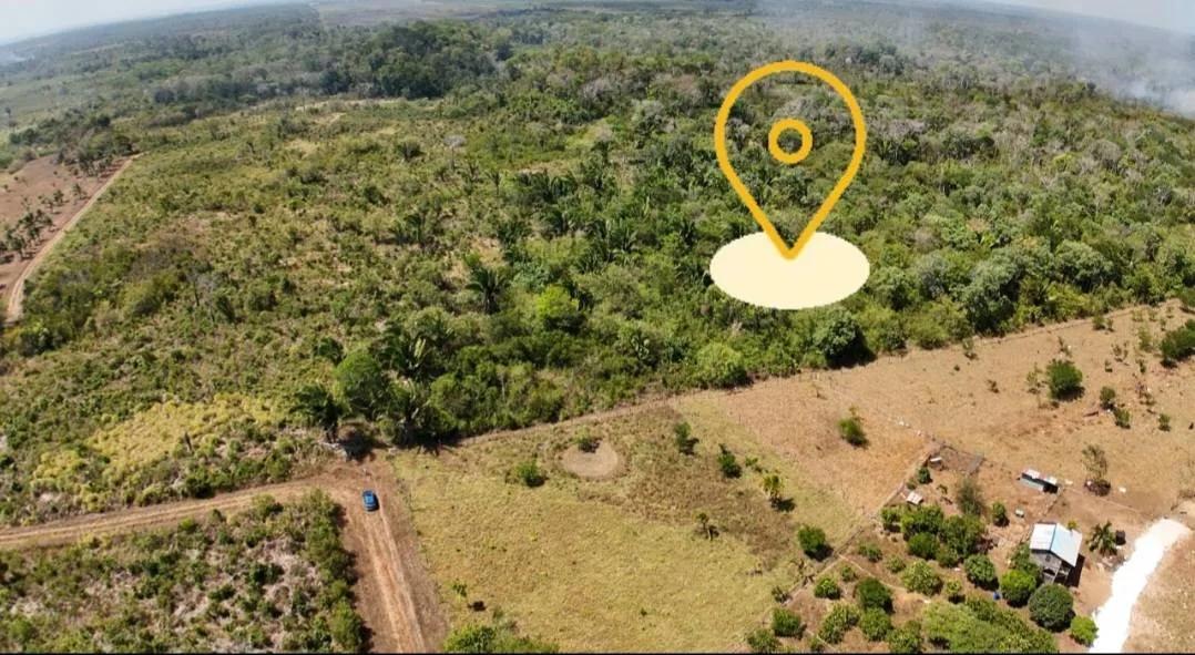 Escape to 25 acres of Agricultural Paradise near Belmopan - Photo 2