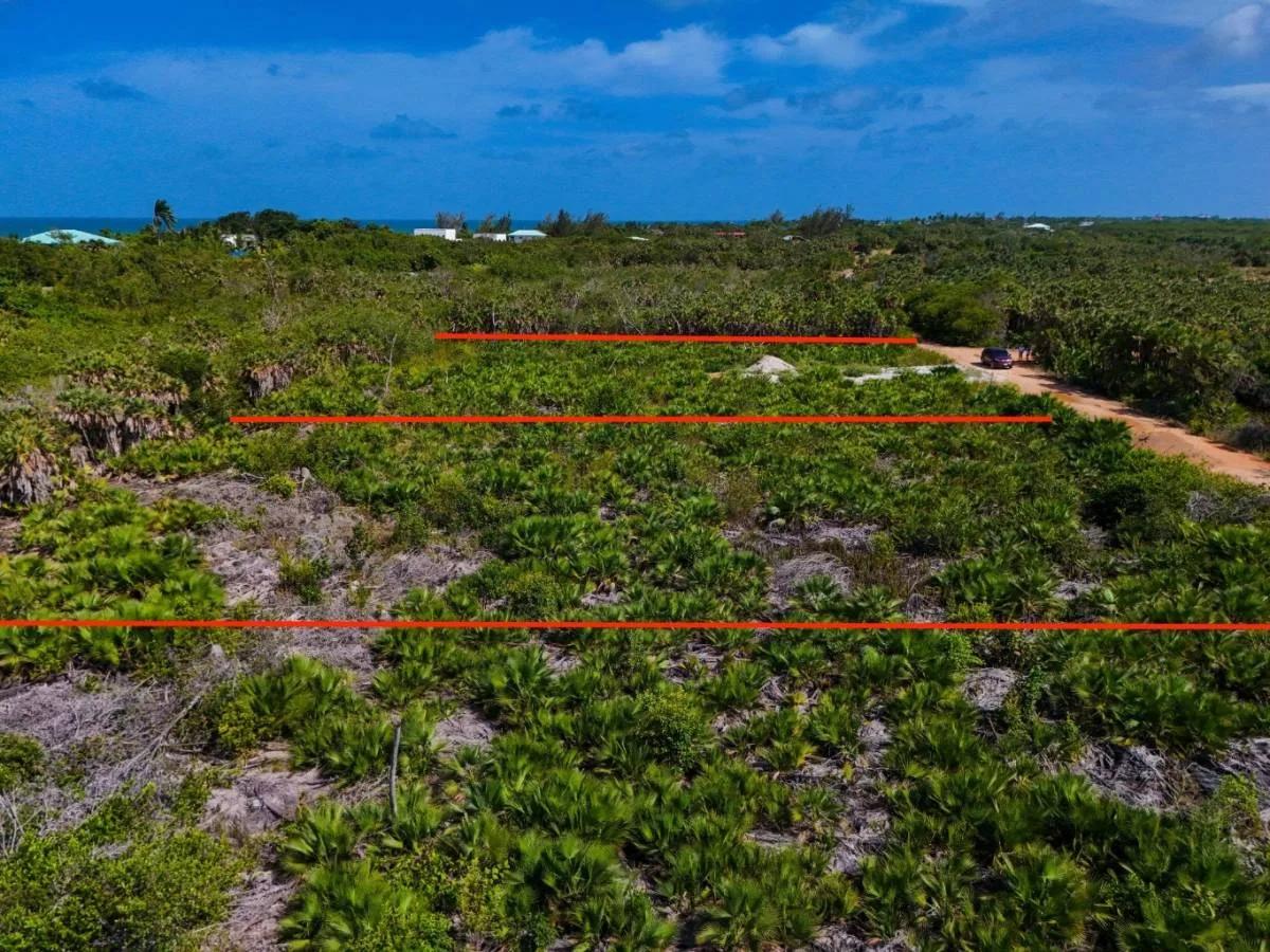 Triple Lot Opportunity (Over 1+ Acre) - Photo 4