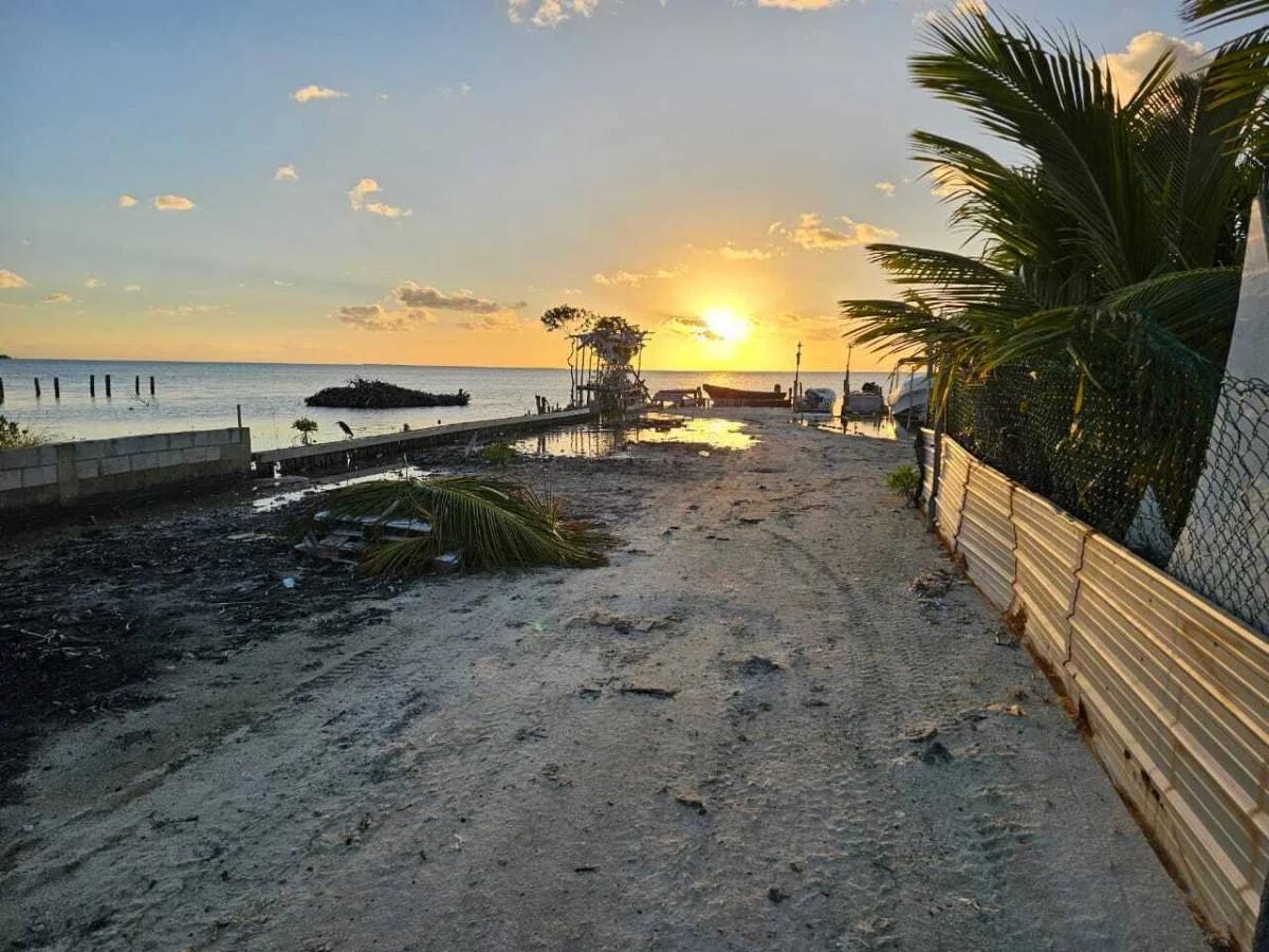 Prime Lot Near The Sea- North Island - Photo 3