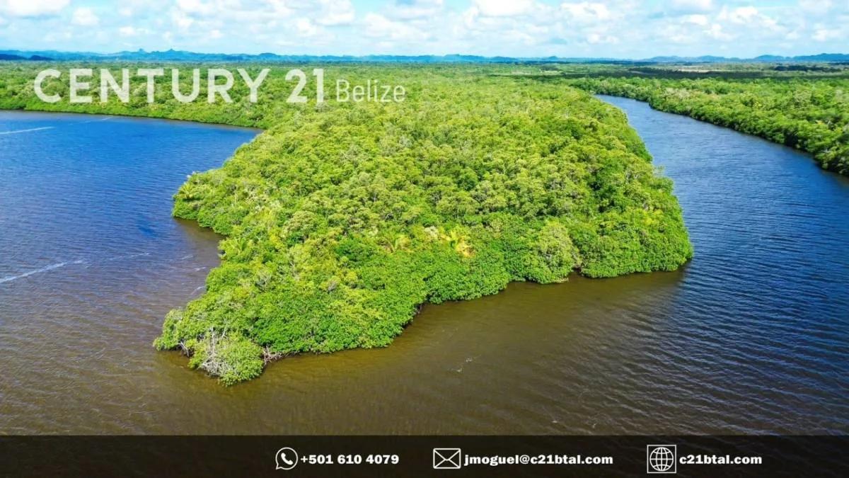90 ACRES ALONG MANATEE RIVER AND WESTERN LAGOON, BELIZE DISTRICT - Photo 4