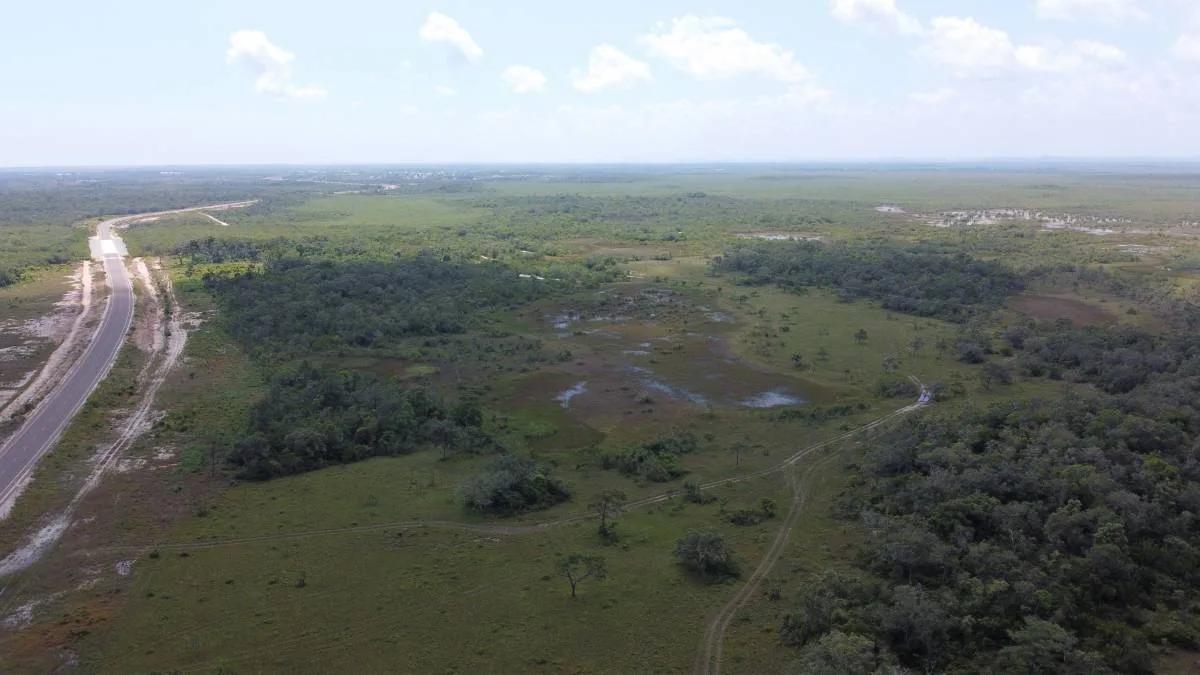 100 acres on John Smith Road - Photo 5