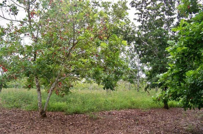 50 Acre Farm located in the village of Frank’s Eddy. - Photo 8