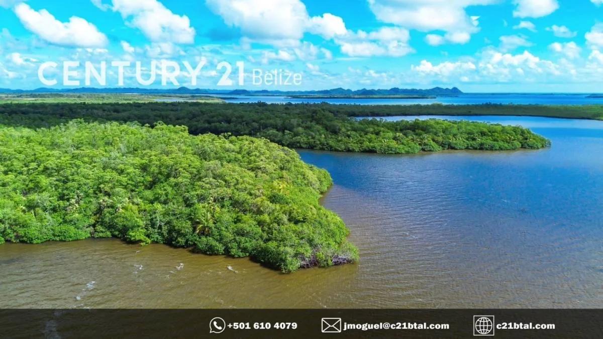 90 ACRES ALONG MANATEE RIVER AND WESTERN LAGOON, BELIZE DISTRICT - Photo 5